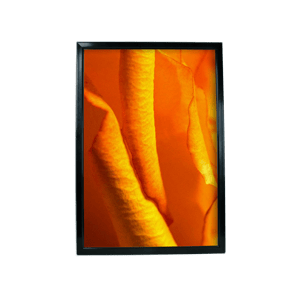 Edgelyte Econo LED Slim Light Box