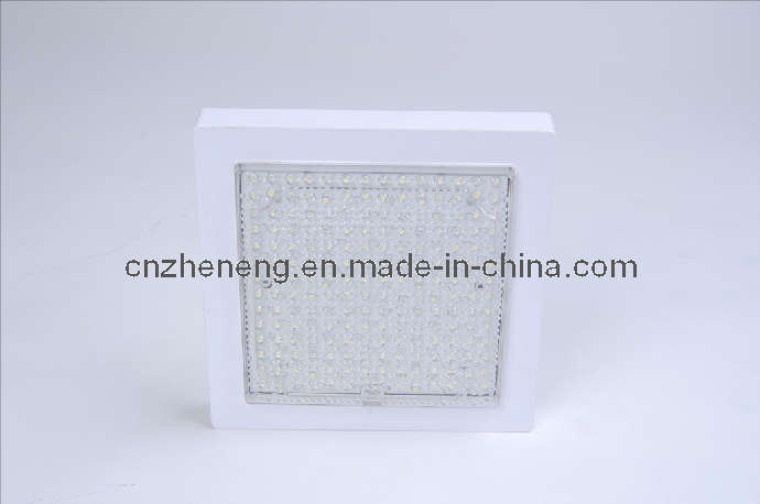 ZYXD215-196D LED Ceiling Light