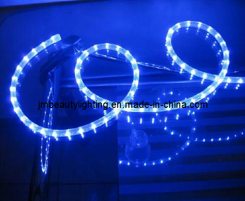 LED Strip Light 4 Wires LED Rope Light (Flat Shape)