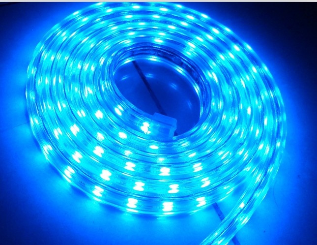 LEDs Strips 230V 110V SMD Lights LED Strip