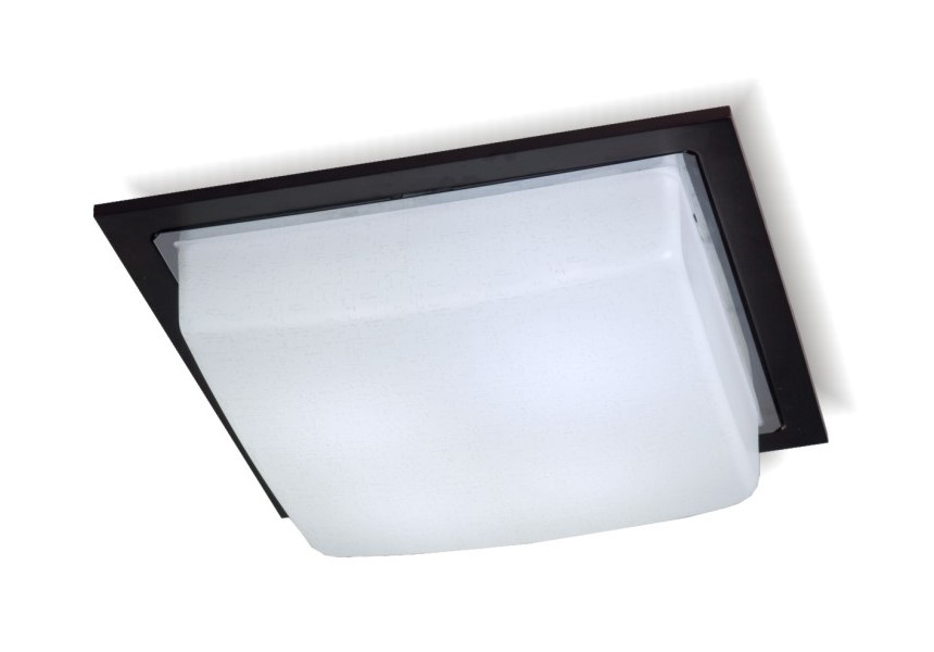 led ceiling down light (S012)