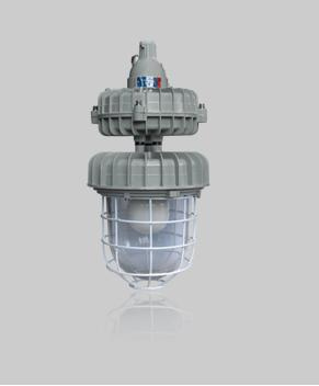 Explosion Proof Energy-Saving Light 40W