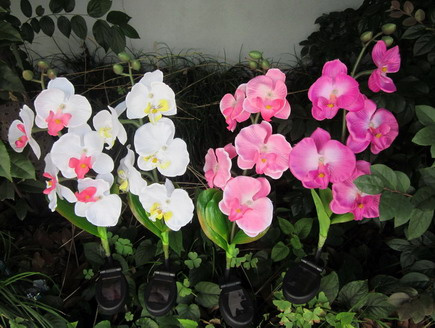 Solar LED Flower Lights