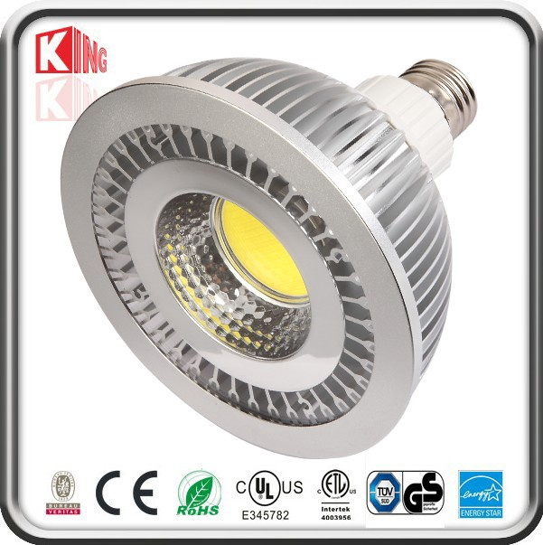 12W LED PAR38 Spotlight