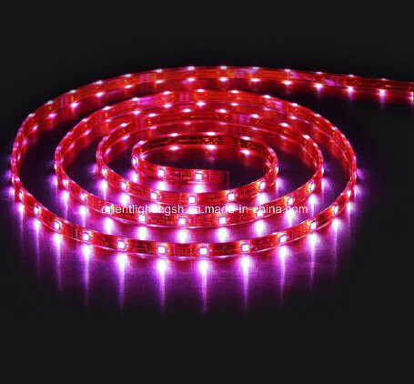 SMD 5060 High Power Flexible Strip-60 LEDs/M LED Light