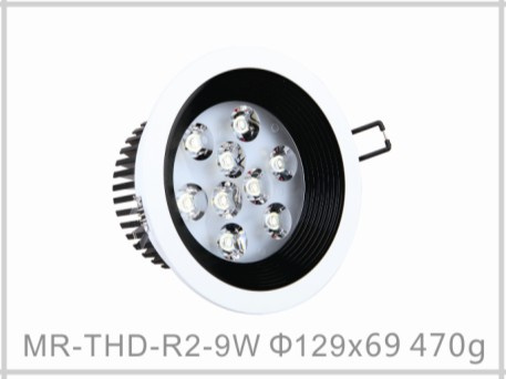 LED Ceiling Light