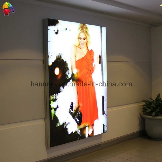 Frameless Display LED Light Box with Graphic