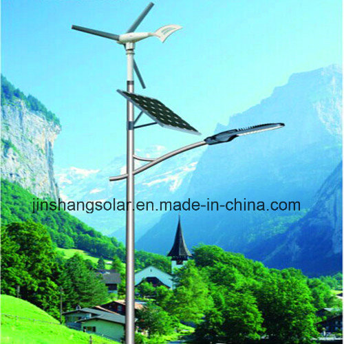 Solar Street Light /Solar LED Street Light with 10 Years Experience