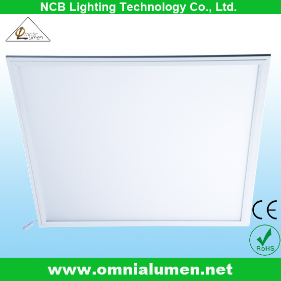 620*620mm LED Panel Light (BP606048W)