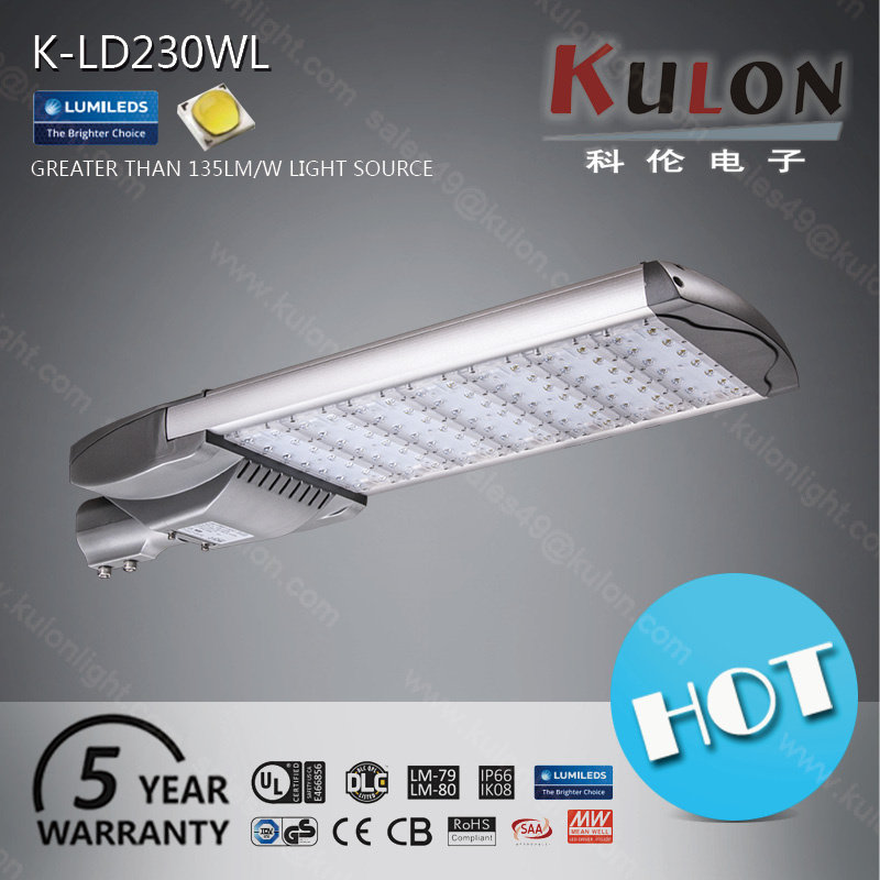 Hot Selling High Poewr 230W LED Outdoor Garden Light