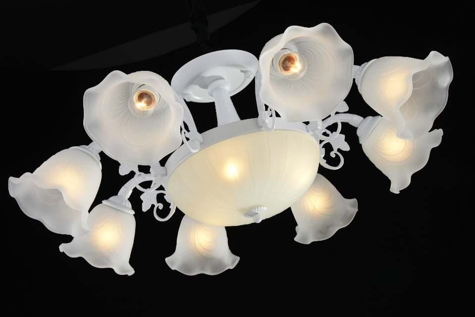 Modern Lighting Crystal Chandelier Ceiling Lamp Em2108-8L