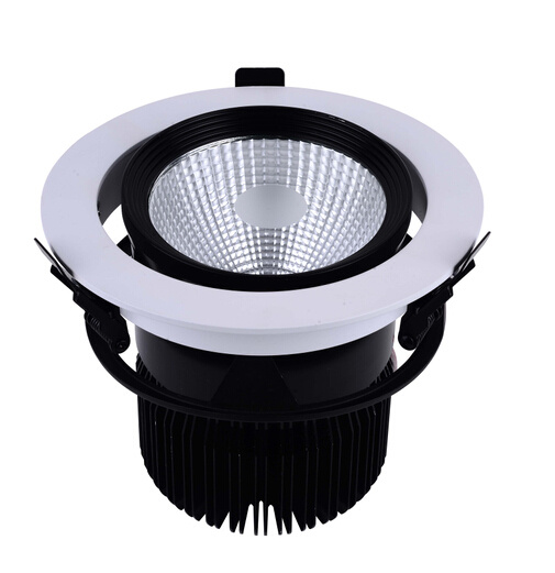 25W LED Ceiling Light-A6001