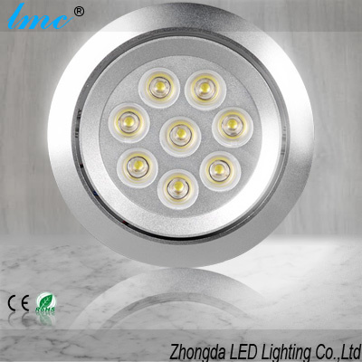 LED Ceiling Light