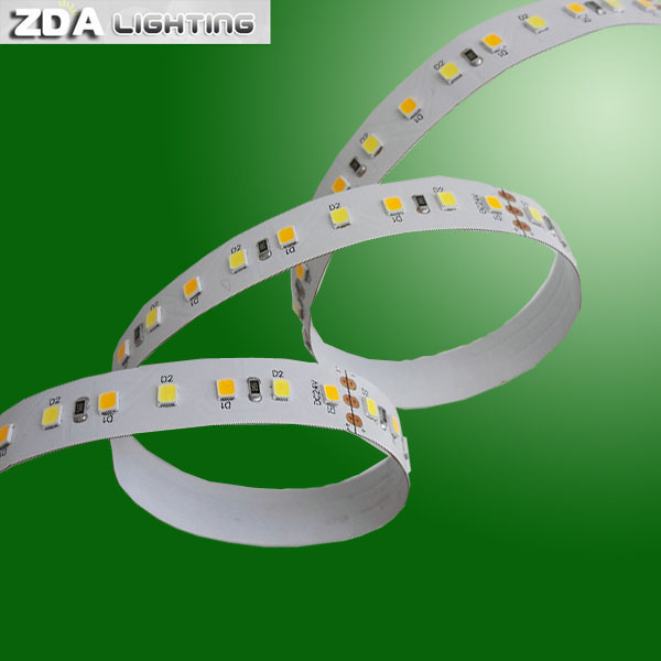 Color Tempertaure Dimmable LED Light Strip (2835 LED)