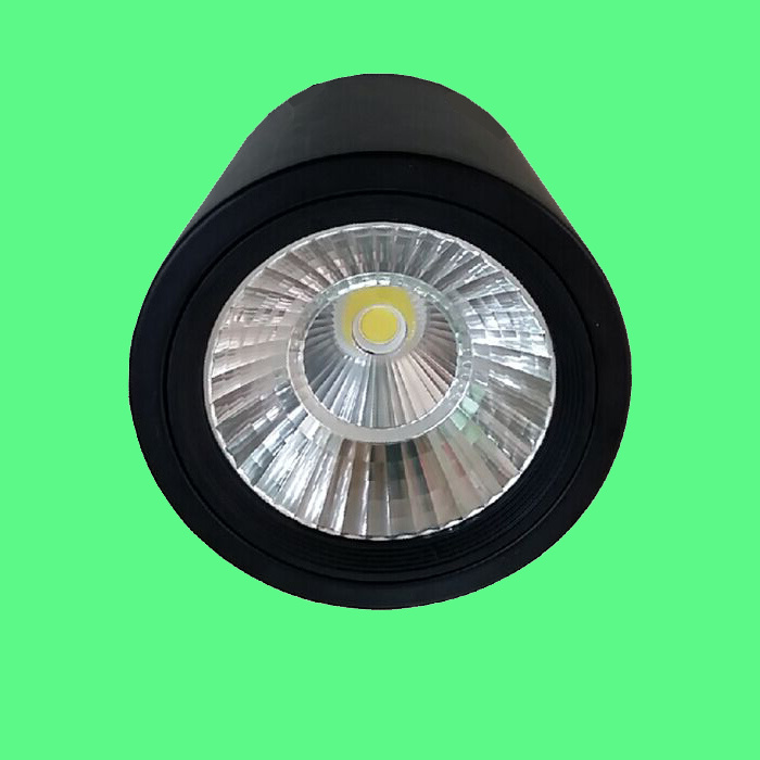 LED Ceiling Mounted Light