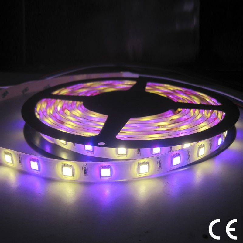 24V RGBW SMD5050 3528 5630 Flexible LED Strip Light