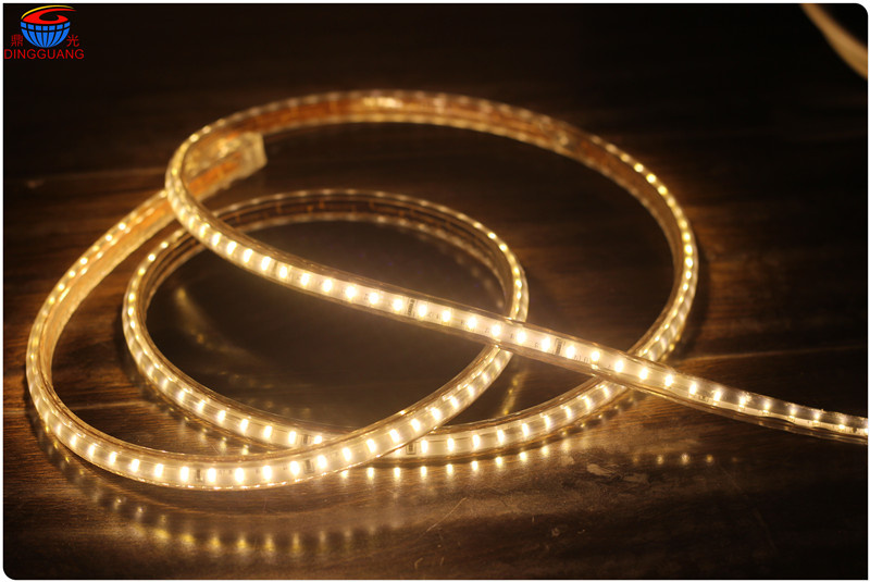 220V High Voltage Flex SMD LED Strip Light