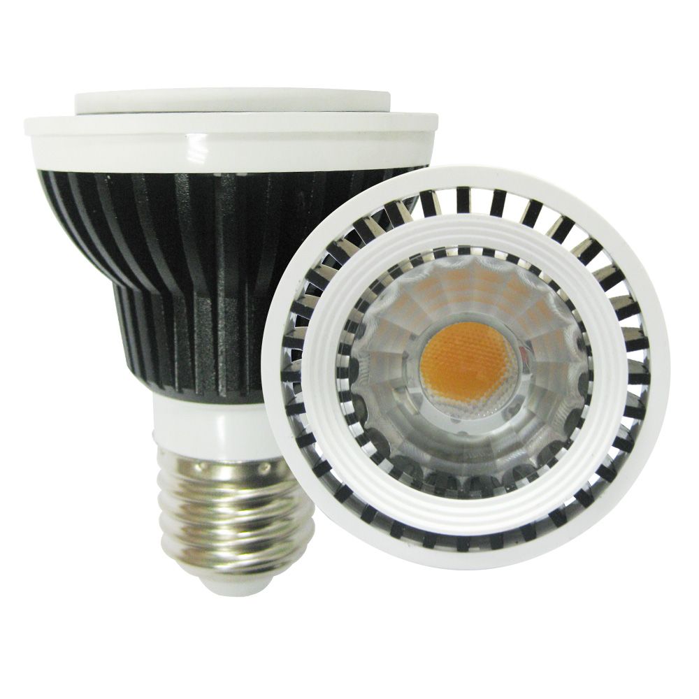 LED PAR20