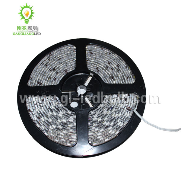 LED Strip Light (300SMD-5050-5m)