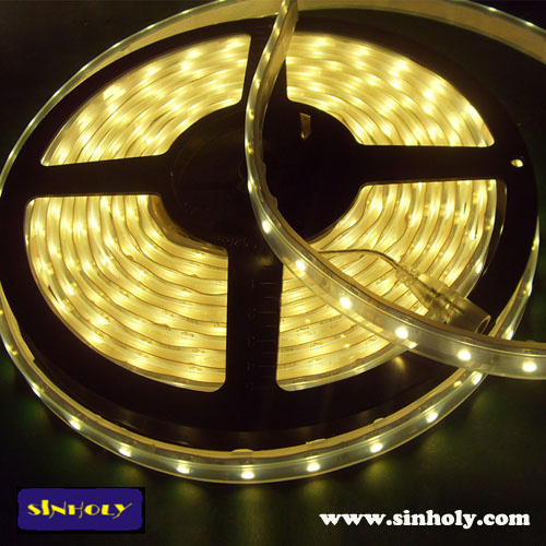 24V LED Strip Light (SMD 5050 60LED IP65)