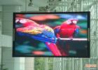 Indoor LED Display (P6)