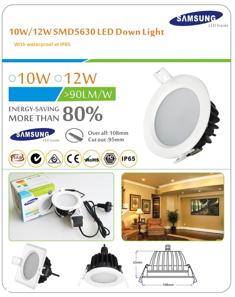 China 10W Bridgelux Chip COB LED Down Light