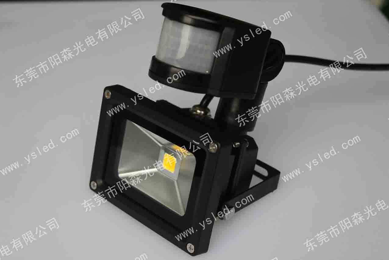 LED Sensor Flood Light