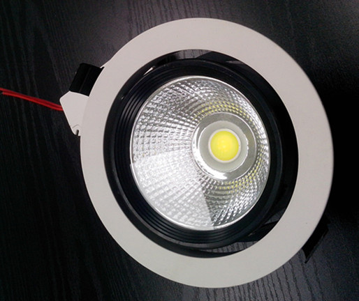 LED Down Light