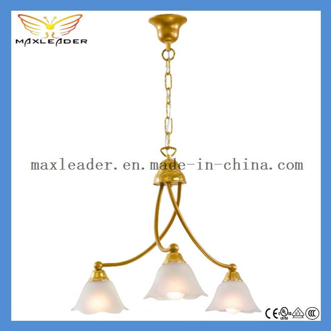 Chandelier for Wholesale, Supermarket, Retail Shop (MD042)