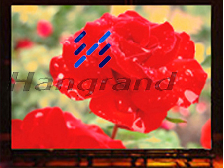 Indoor LED Screen Display