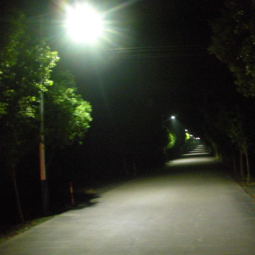 New Energy LED Solar Street Light