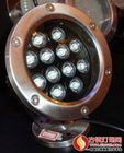 12W LED Underwater Light for Swimming Pool