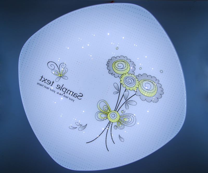 Ssh 18W 20W 22W 24W LED Ceiling Light