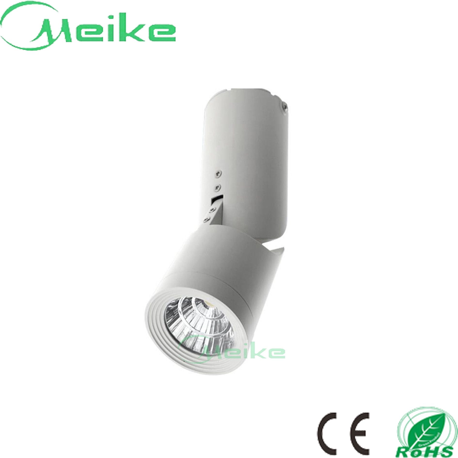 CE RoHS 360 Degree Angle 10W LED Down Light
