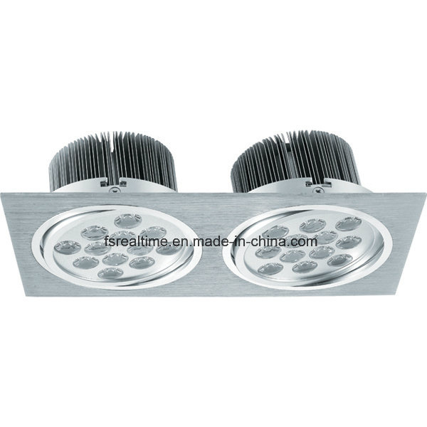 Indoor LED Lighting Ceiling Light 2X12X1w