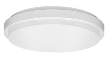 LED Ceiling Light