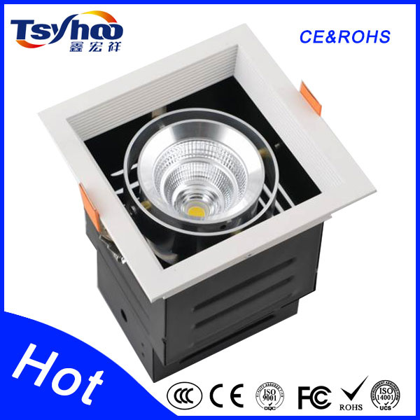 Home Decorative 9W Ceiling LED Light