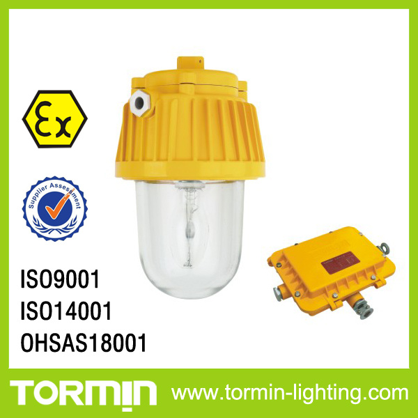 Energy Saving Electrodeless Explosion Proof Light