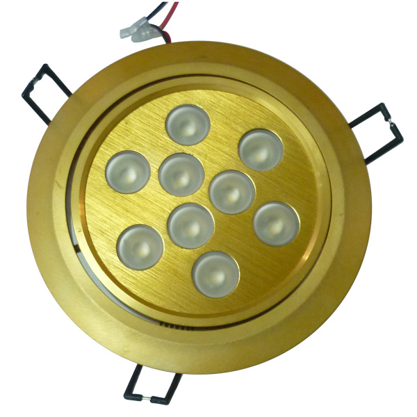 LED Down Light