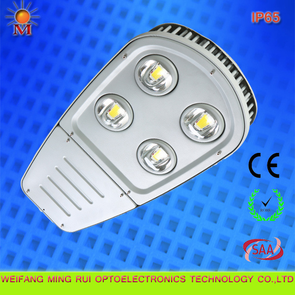 80W LED Garden Road Light