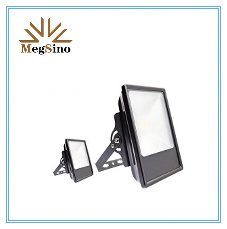 LED Flood Light