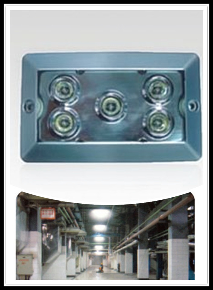 Waterproof LED Ceiling Light/Emergency Light