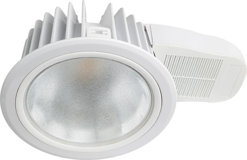 LED Down Light 33W (180TDII)