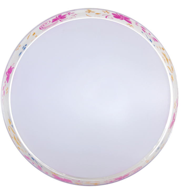 New Fashion 15W LED Ceiling Light
