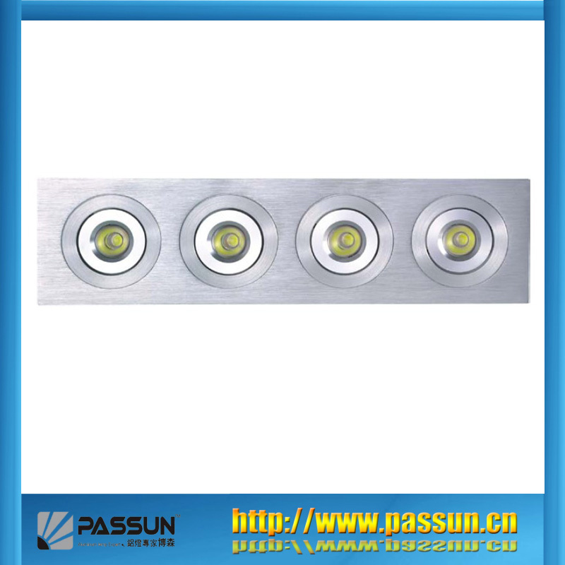 LED Ceiling Spot Light (LDC004P)