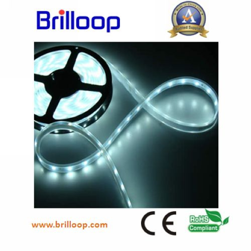 SMD5050 Flexible LED Strip Light (BLP-STPA30)