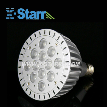 12*1W PAR38 E27 LED Spotlight (KS-LDP-PAR38-12W1)