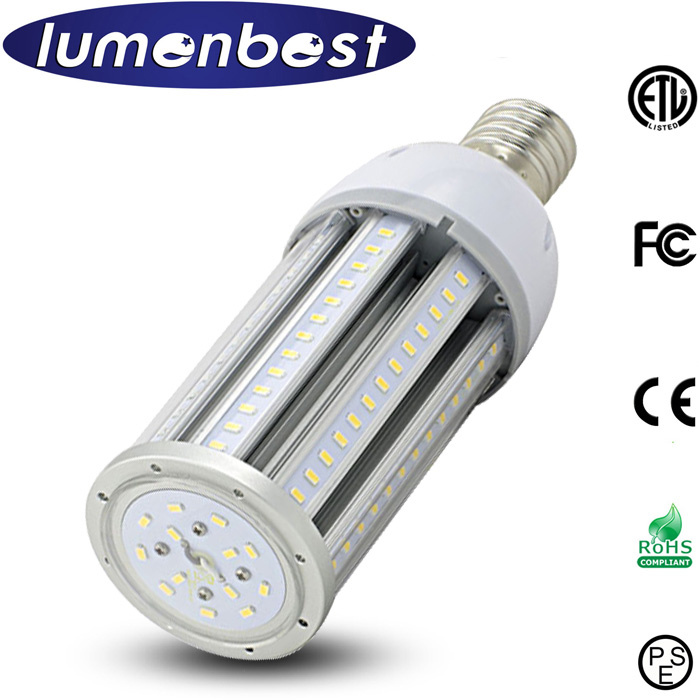 Energy Saving LED Outdoor Light (80W)