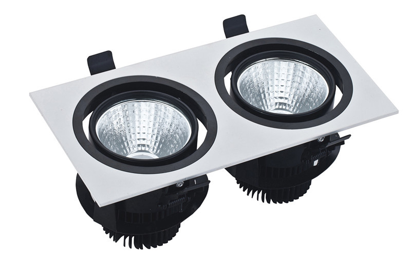 LED Downlight COB LED Light LED Ceiling Light (BL-LK-2X5W / 2X10W)