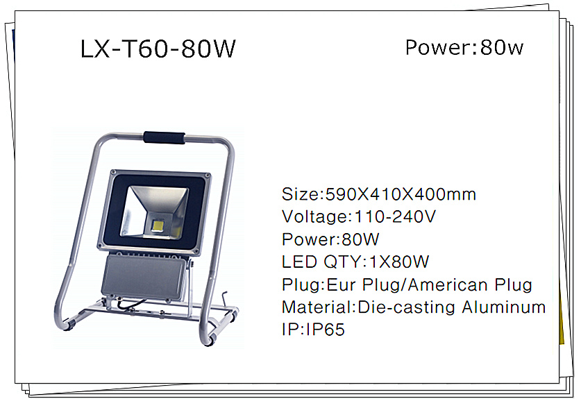 LED Flood Light (LX-HW)